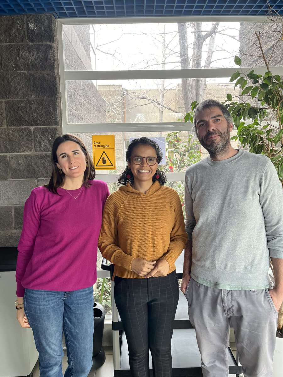 Andressa Reis tweet media