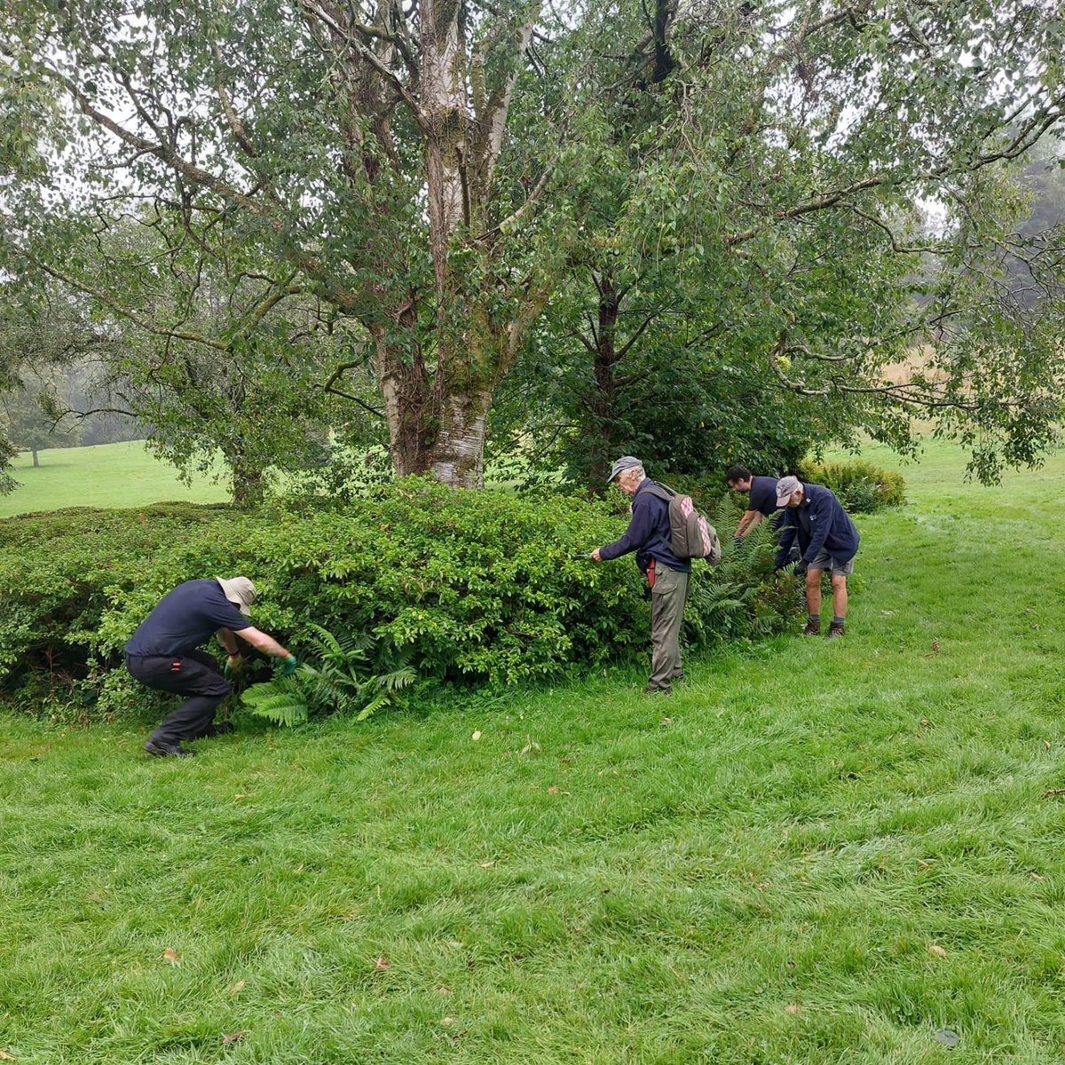 Cockington Park tweet media