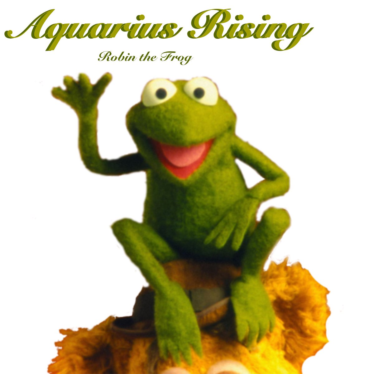 Just say it, I'm stupid.