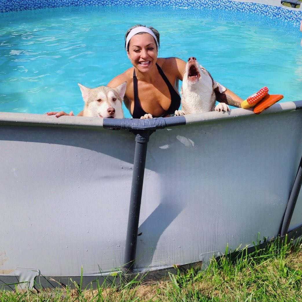 The Proper Poochies tweet media