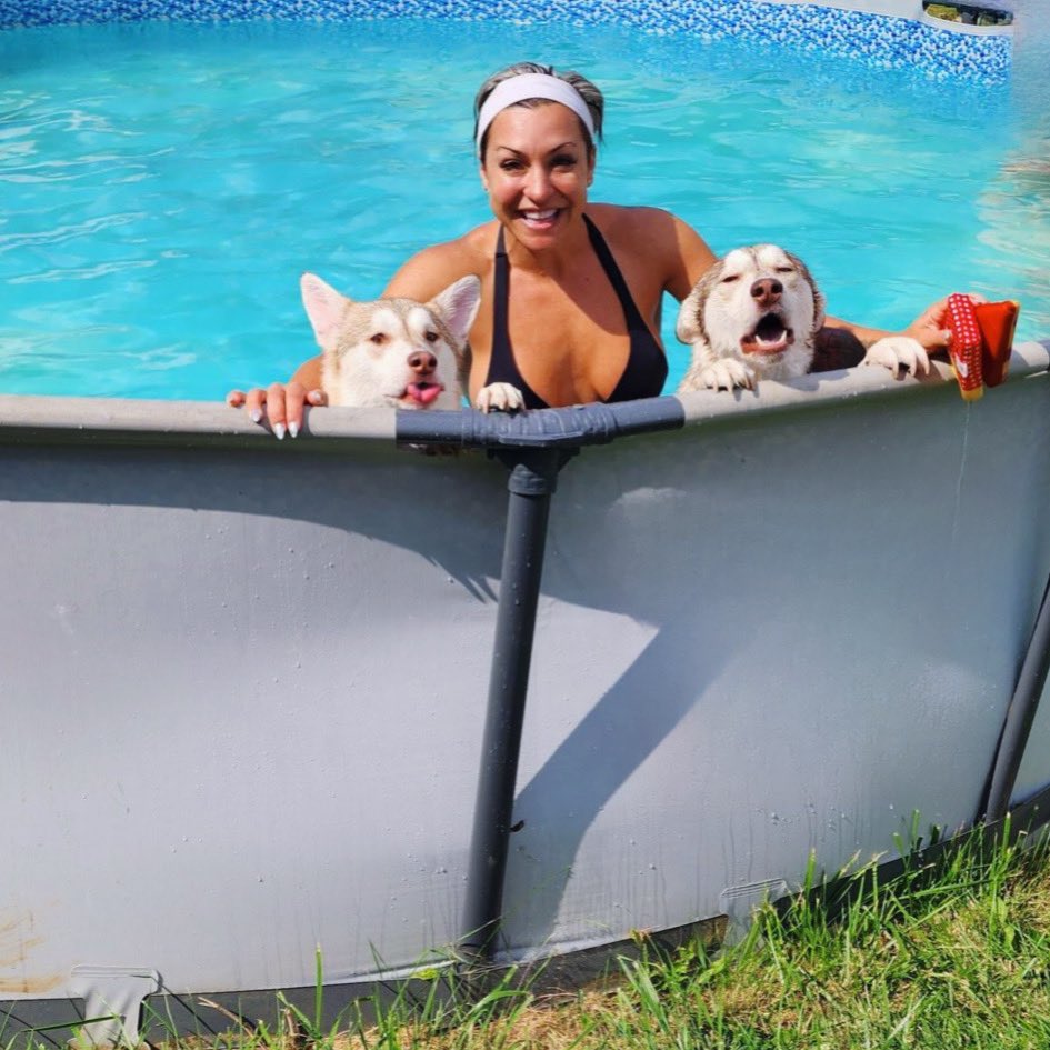 The Proper Poochies tweet media