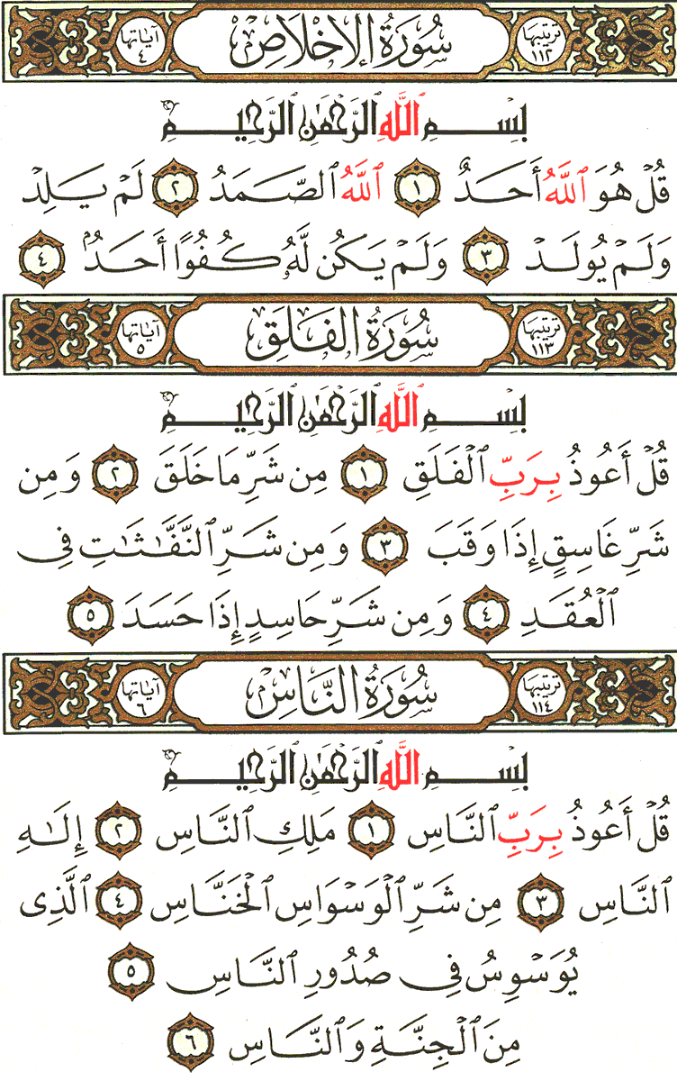 عمرو 🇵🇸 tweet media