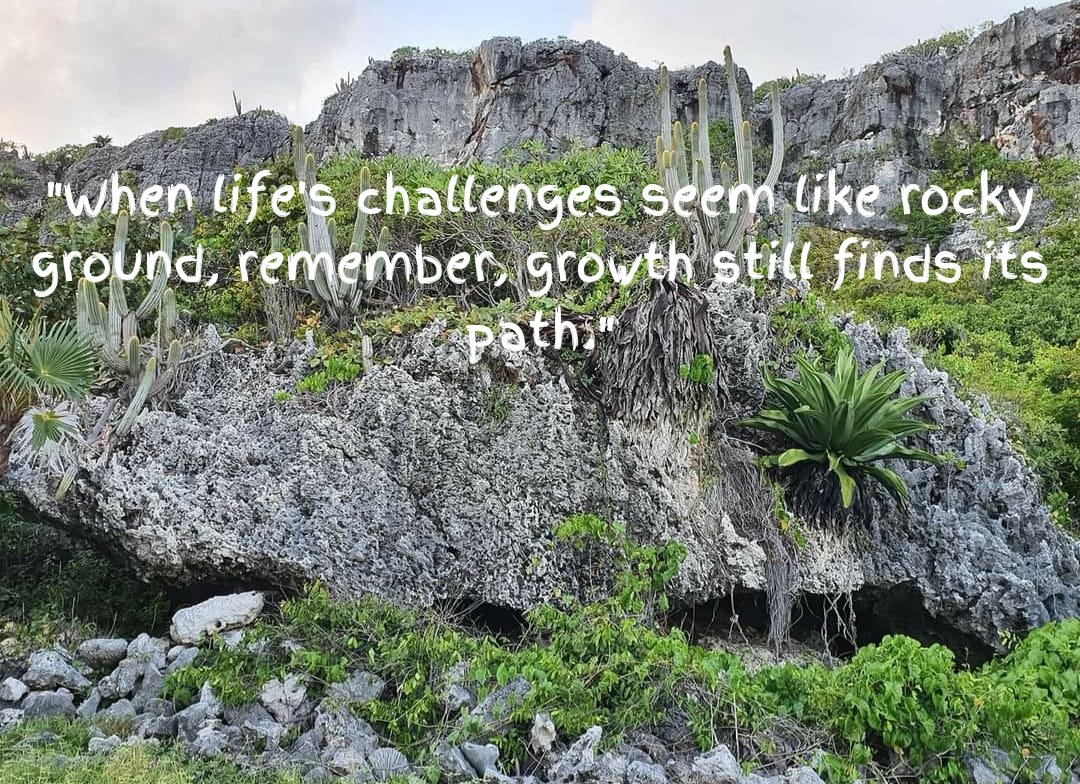 denarscott's tweet photo. Today's inspirational Quote https://t.co/3BhcCwM9vV