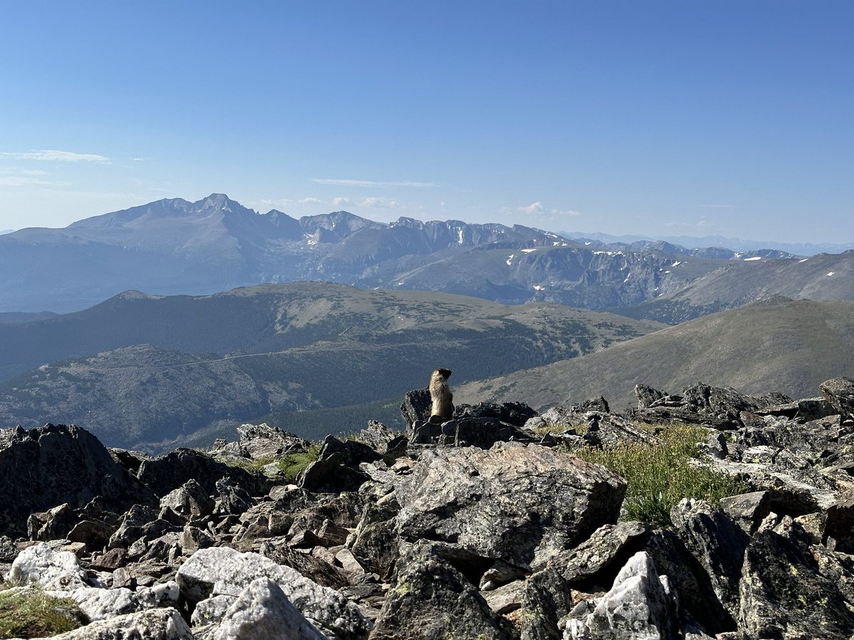 zmj (@zmj) on Twitter photo Hiked up Mt Chapin and Mt Chiquita with <a href="/thornmallow/">Marten Beasley</a> ! A marmot was curious who took his spot in the summit wind shelter. Hiked up Mt Chapin and Mt Chiquita with <a href="/thornmallow/">Marten Beasley</a> ! A marmot was curious who took his spot in the summit wind shelter.