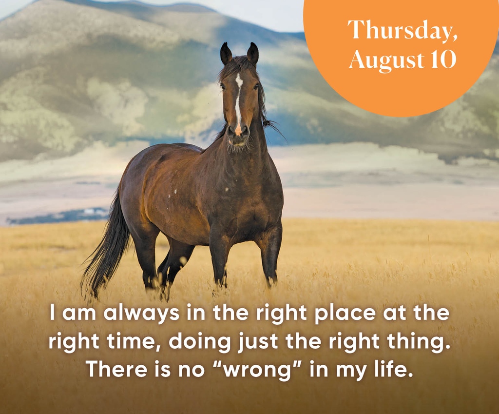 hayhouse's tweet photo. Daily affirmation: I am always in the right place at the right time, doing just the right thing. There is no "wrong" in my life. https://t.co/YBRPJcSyDY