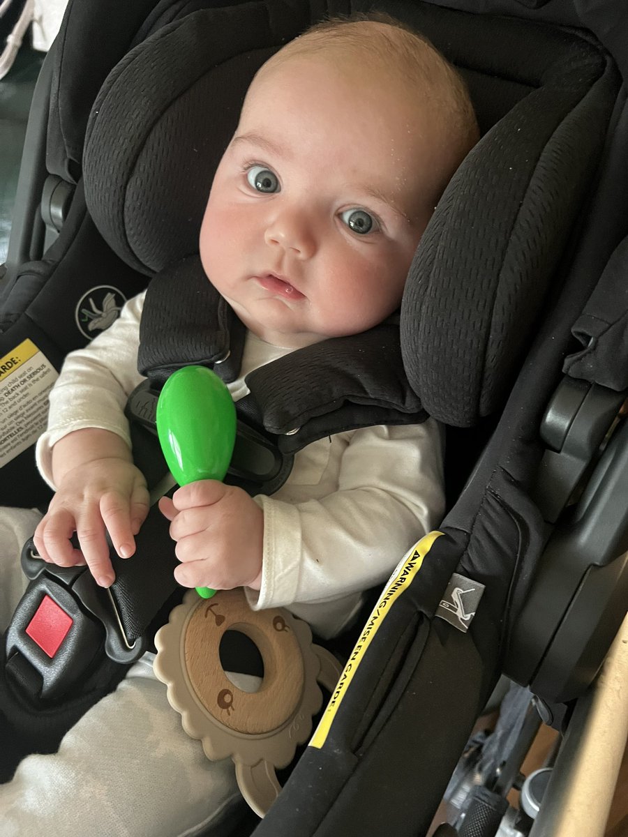 MrsAndersonOCSB's tweet photo. This sweet boy is 3 months already! #SuttonRed https://t.co/dGvhbXliR5