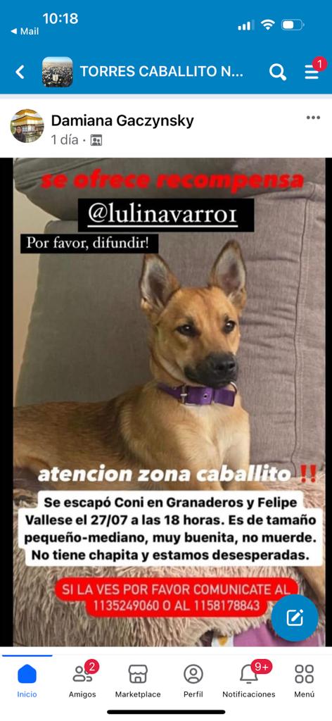 patripeyrou's tweet photo. Difundimos https://t.co/96f99BFr8Q