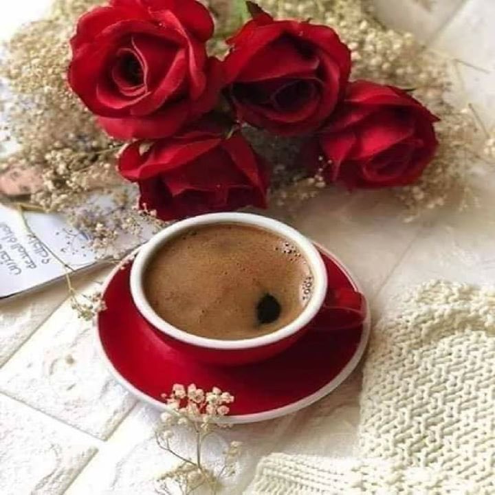 طرفة 🌹🖊 tweet media