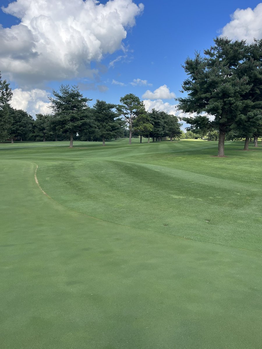 FCCGOLFCOURSE's tweet photo. Course loving no carts https://t.co/GLTPIcN0qN