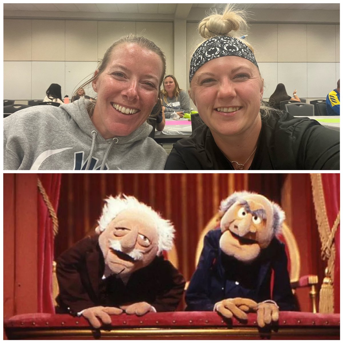 Meg Mohl tweet media