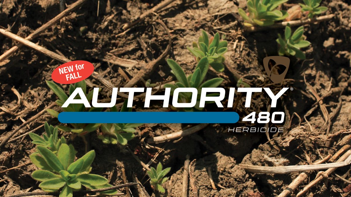 Prepare your fields for spring with Authority® 480 herbicide. Applied in late fall, it creates a soil barrier for improved control of early germinating weeds like kochia and many others. Ensure clean fields for spring: bit.ly/3YqD4Nl
#FMC #Authority480