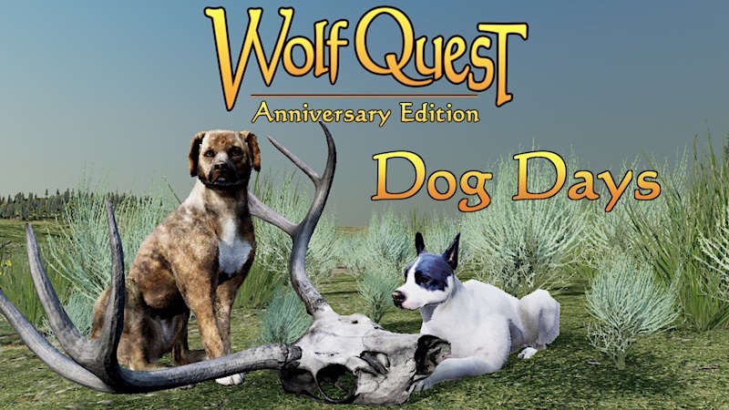 WolfQuestGame's tweet photo. Even in the dog days of August, WolfQuest is working on new stuff! Find out what in today's devblog: https://t.co/u7M9cQcjXG https://t.co/td4UjNUPjj