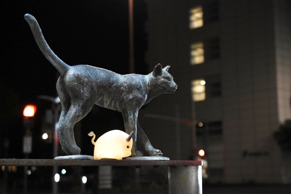 sanbiki4123's tweet photo. 猫さんと散歩🐄
牛さんのナイトライト💡
#7life #間接照明 #nightlight #ベッドライト #ルームライト #テーブルランプ #インテリア雑貨 #pr #猫 #牛 https://t.co/ZtrBKpEjfK