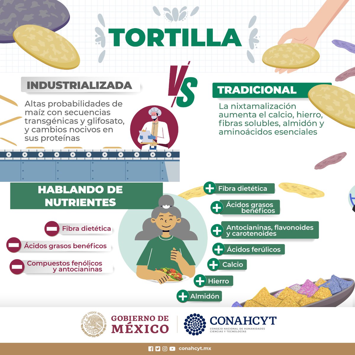 Secihti_Mx's tweet photo. Infografía | El maíz nativo nixtamalizado es alto en nutrientes y libre de sustancias alergénicas; en contraste, las tortillas industriales tienen altas probabilidades de presentar componentes transgénicos y glifosato vinculado a daños a la salud.

➡ Ref: https://t.co/ZiLnAWaAvb https://t.co/Yu67kIQzCc