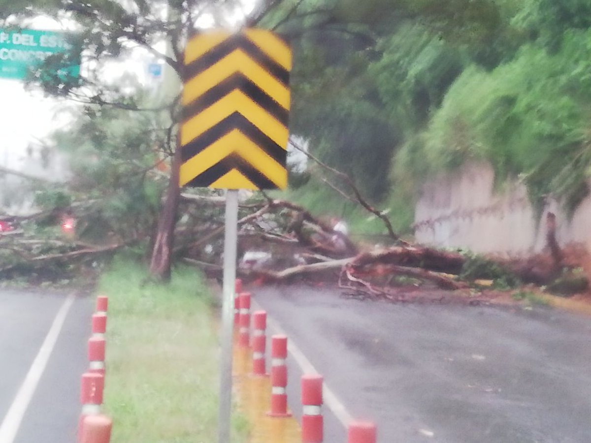 FMCENTER's tweet photo. #Autop. Prados del Este - Árbol caído a la altura del Dist. Prados del Este, sentido La Trinidad. Se reporta lesionado; autoridades en ruta. 06:11 PM #TrafficCenter
📷 Cortesía. https://t.co/EJlfzbQRqO
