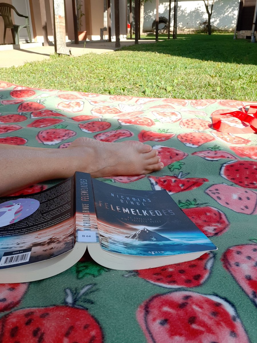 alltheroundobjects (@alltheroundobj2) on Twitter photo Had a fun time reading the Hungarian version of Ascension by <a href="/BingeWriting/">Nicholas Binge - find me elsewhere, I'm not here</a> Had a fun time reading the Hungarian version of Ascension by <a href="/BingeWriting/">Nicholas Binge - find me elsewhere, I'm not here</a>