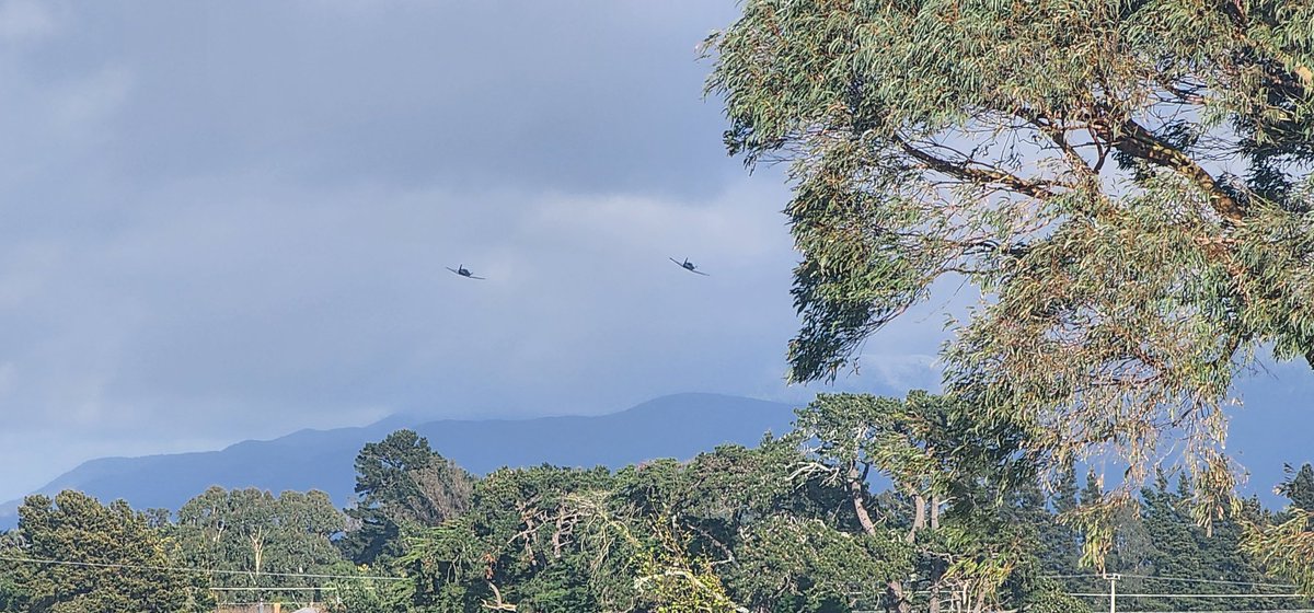 BrenMurrell's tweet photo. Hey @NZAirForce / @NZDefenceForce - wanna stop your trainers from buzzing my place pls? I operate recreational UAVs at my rural property (under the 400ft regulations) and I'd hate to cause any kind of interference with your pilots being recklessly low. https://t.co/BXxtfRWvnm