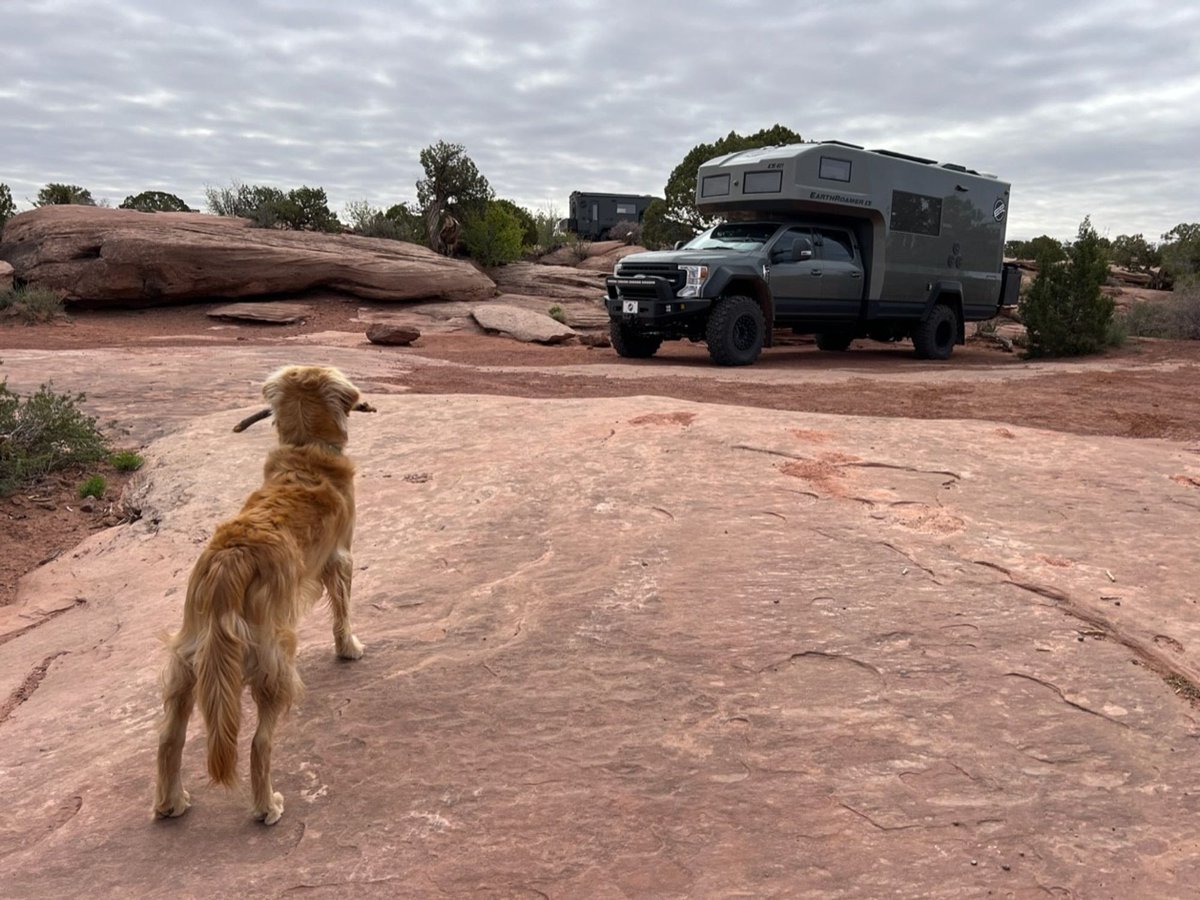 The look of mutual respect. 🐾

#earthroamer #Thursdayvibes #overlanding #boondocking #offroadlife #liveyourdreams