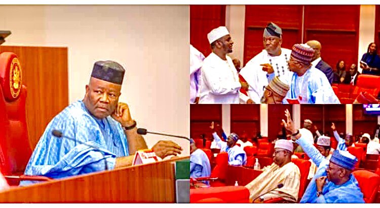 Thieves.

Ex-APC spokesperson Timi Frank said Senators received vacation allowance alerts in millions.

He said: “According to a Senator from the Northwest geopolitical zone who confided in me, ‘each Senator received N35million while principal officers got N50million each.’