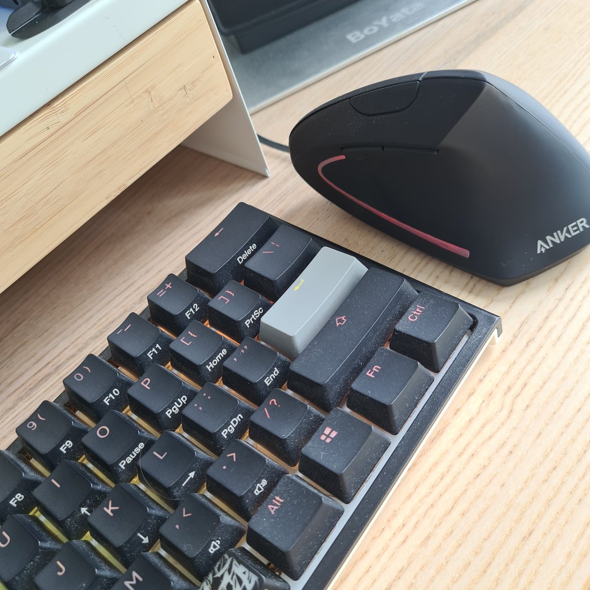 Vincent Malisz tweet media