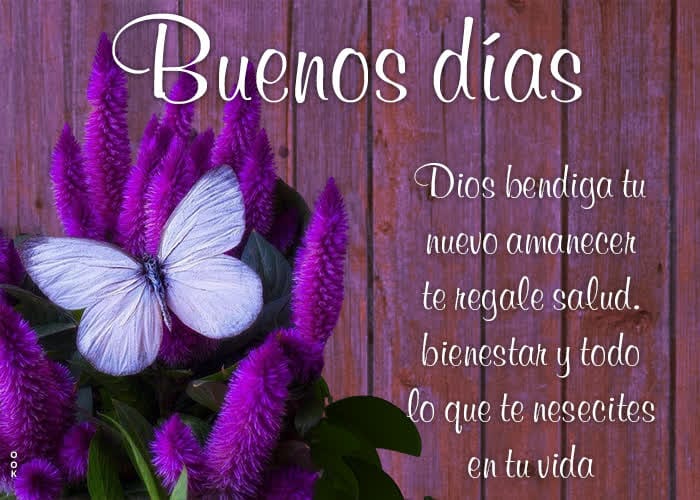LuzSanchezY's tweet photo. https://t.co/P9A4R6vRYB
