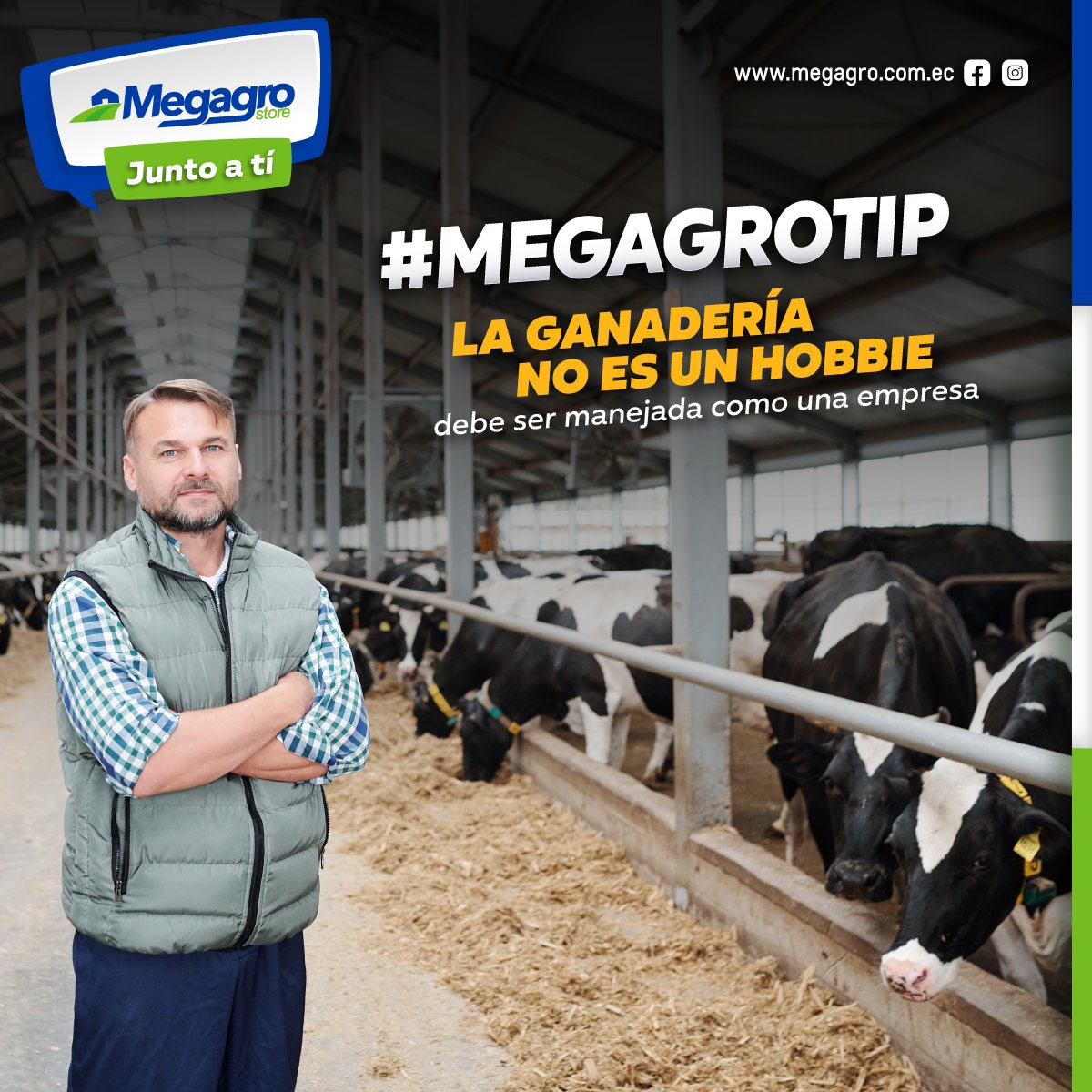 megagrostore's tweet photo. Nosotros sabemos lo importante que es la ganadería para ti y por ello, queremos ofrecerte excelentes productos y servicios para que continúen creciendo su negocio y mejoren su rentabilidad 

¡Megagro en el campo junto al productor! 

#ganado #vacas #saludanimal #MEGAGRO https://t.co/rhc8prAv7v