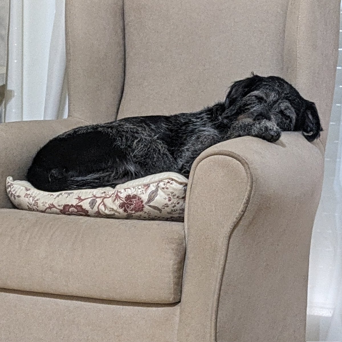 monisc's tweet image. #FotoPerfilNova