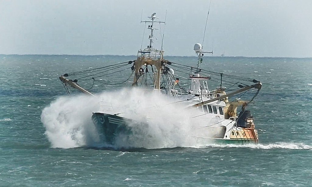 Een land wat zichzelf niet kan voeden is ten dode opgeschreven! Daar komt bij dat veel import voedsel een dubieuze productie of afkomst heeft. Nederland beseft niet dat wij leven in een een omgeving die ons praktisch van alles kan voorzien,zoals gezond voedsel uit de Noordzee.