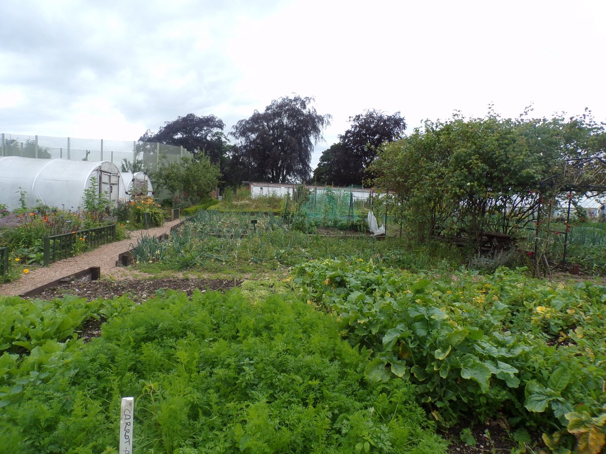 🌱Prisoners @HmpFostonhall have been busy this #NationalAllotmentWeek learning gardening skills from planting to pruning. Food grown in the allotment is then used in the prison kitchen, giving prisoners employability skills for release. Read more👇 derbyshiretimes.co.uk/lifestyle/outd…