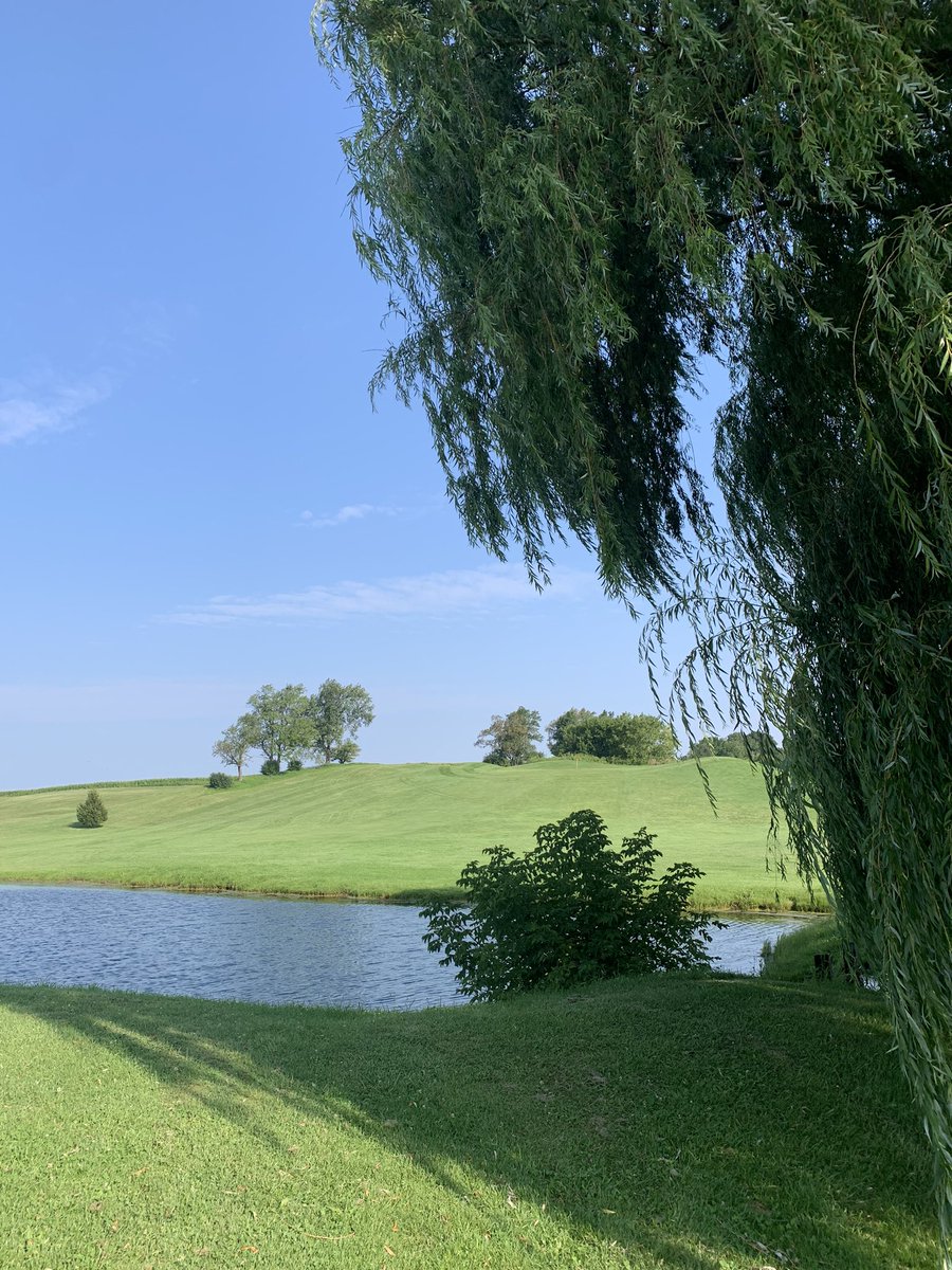 SherriShep's tweet photo. Exciting morning at Oak Gables golf course! Sue got a hole-in-one!  ⛳️#nineonthepine  #holeinone https://t.co/n8n4eJFTF9