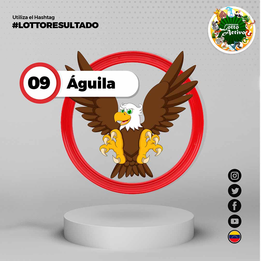 lottoactivo's tweet photo. #lottoresultado del 10/08/2023

Sorteo N°:2493-F
02:00 PM
09 - ÁGUILA

Sorteo Nº:928-F
02:00 PM
Triple: 586
Terminal: 86

#venezuela  #elpatronus  #trioactivo https://t.co/BDFI88gv90