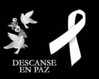 @javiergomenzoroOK tweet media
