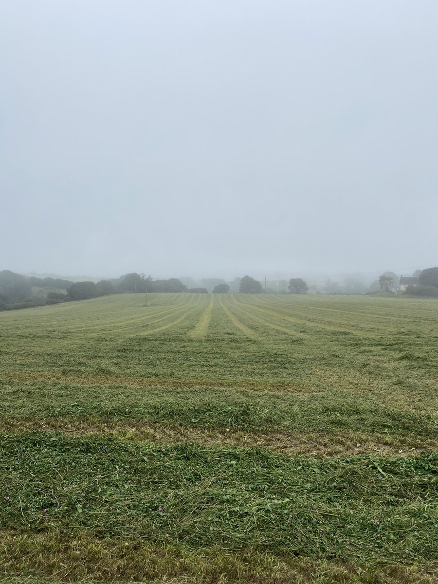 LauraAwdry's tweet photo. Of course we mow and weather does this! About as humid as the Bahamas! #3rdcut #silageseason https://t.co/3eSapTr9HB
