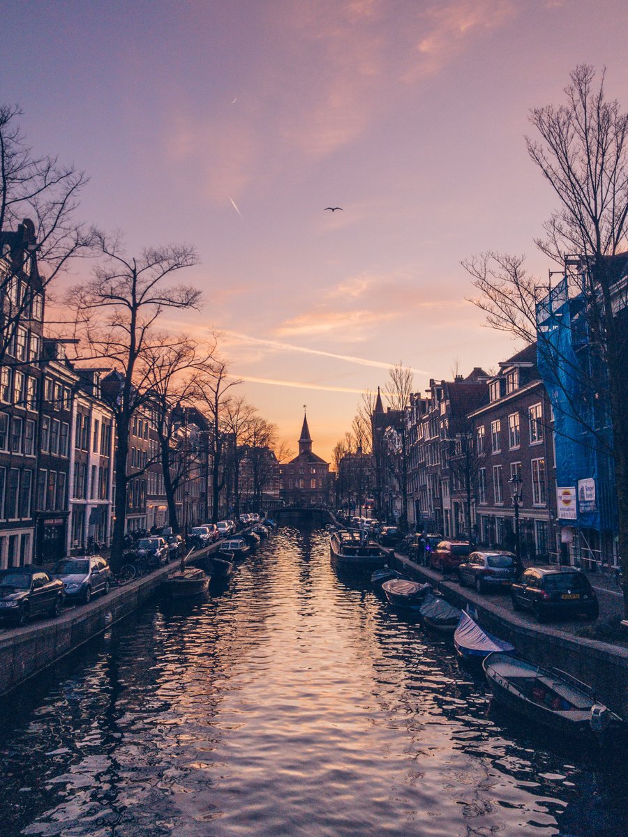 Sebastiaan de With tweet media