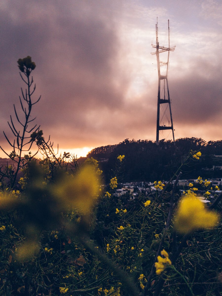 Sebastiaan de With tweet media