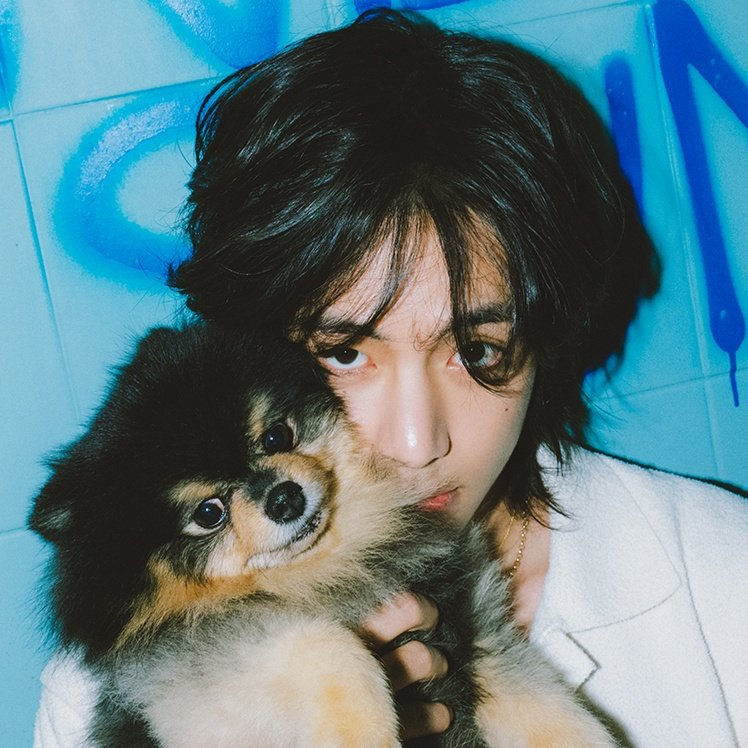 uarmyvibe's tweet photo. hobi and taehyung  with yeontan https://t.co/Zxrplf72bc