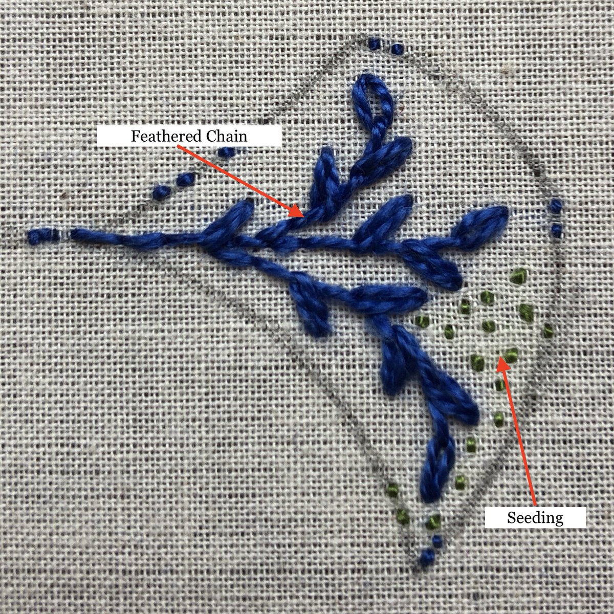 AStitchinQuine's tweet photo. Feathered Chain and Seeding! a lovely combination #embroidery #embroiderer #stitching #stitchery #stitches #RSN #surfacestitches https://t.co/MXzZEWfXgZ