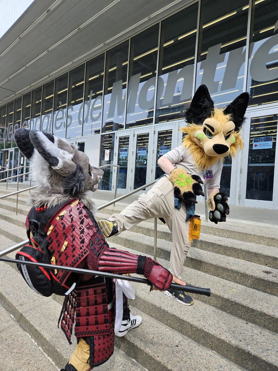 Intelfoxxo's tweet photo. Once again, battling my foe @CryptsCorner https://t.co/HIruYTOCI2