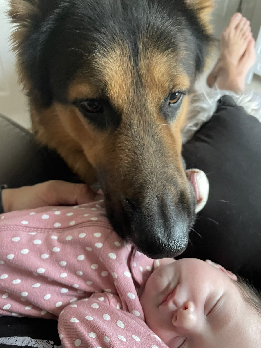 Josh Cascio 🇺🇸 tweet media