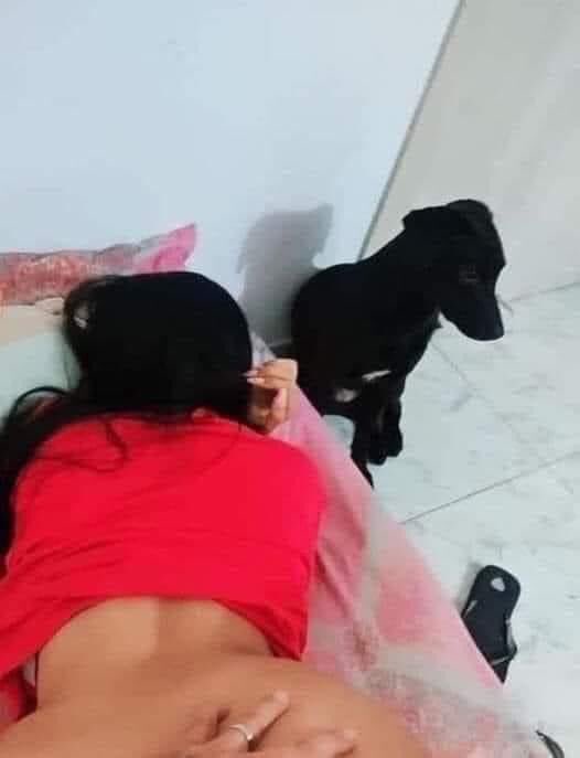 Ela: Tens proteção?

Ele: Relaxa, o Bolinhas protege-nos