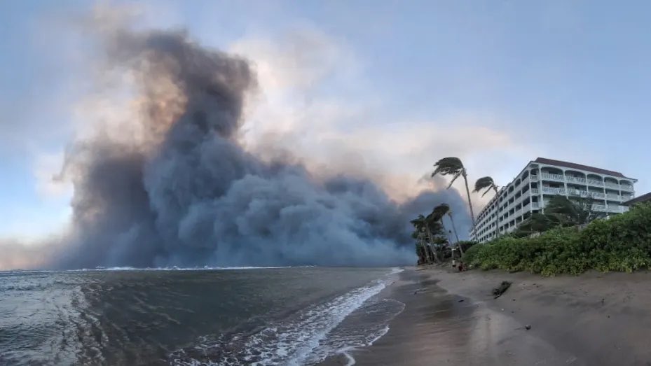 baby2baby's tweet photo. Baby2Baby is preparing to send diapers and basic essentials to families impacted by the deadly Maui wildfires. Please donate to our Disaster Relief &amp; Emergency Response Fund to help us get critical items into the hands of children most in need.

Donate:
https://t.co/pxGAG4nmSq https://t.co/4n9T4GqONj