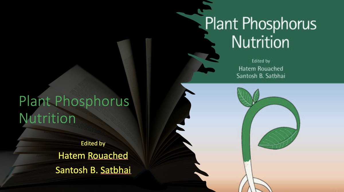 hatemrouached's tweet photo. I am delighted to announce that our co-edited book "Plant Phosphorus Nutrition" is now available https://t.co/qe0S1SXXdg 
It is an invaluable reference for researchers, scholars, and professionals in plant nutrition. Congrats to all contributors! @MSU_PRI @MSU_PSM @santosh7bhai https://t.co/tEf0VWHqHq