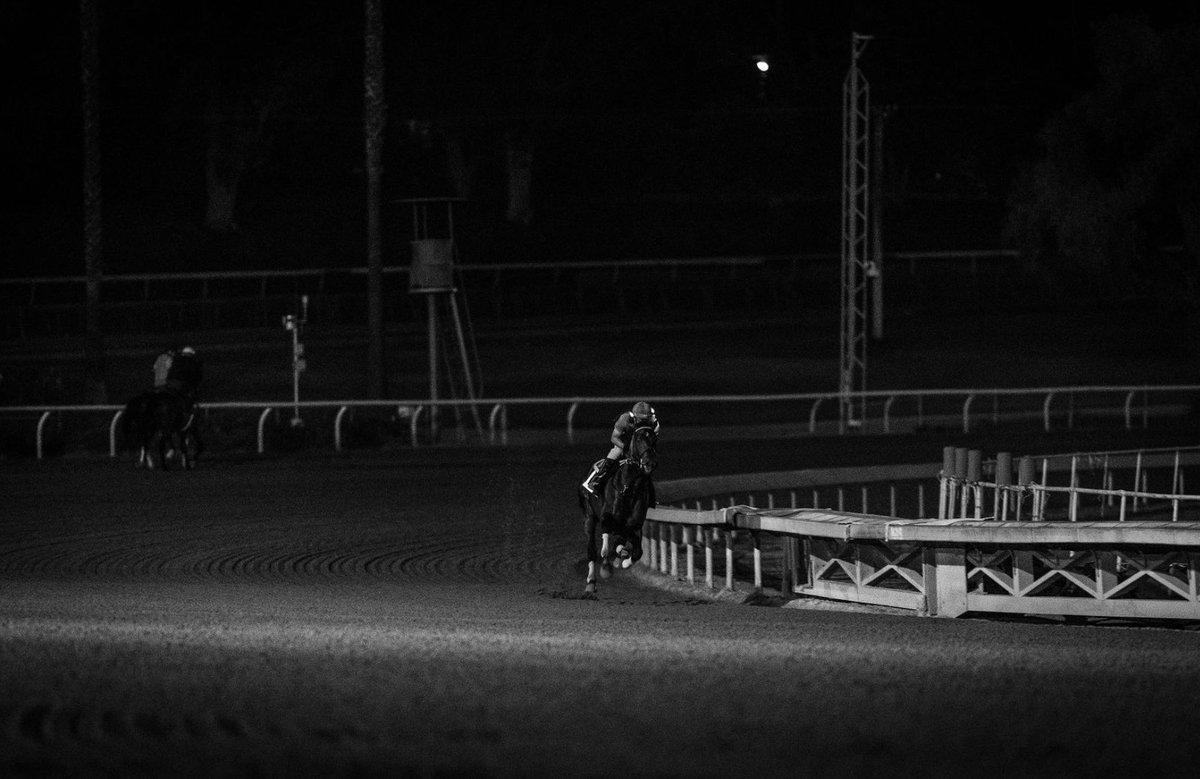 Hronis_Racing's tweet image. The energy during morning works is just so special… 🌅

#HronisRacing #Flightline

📸 Katie Jones