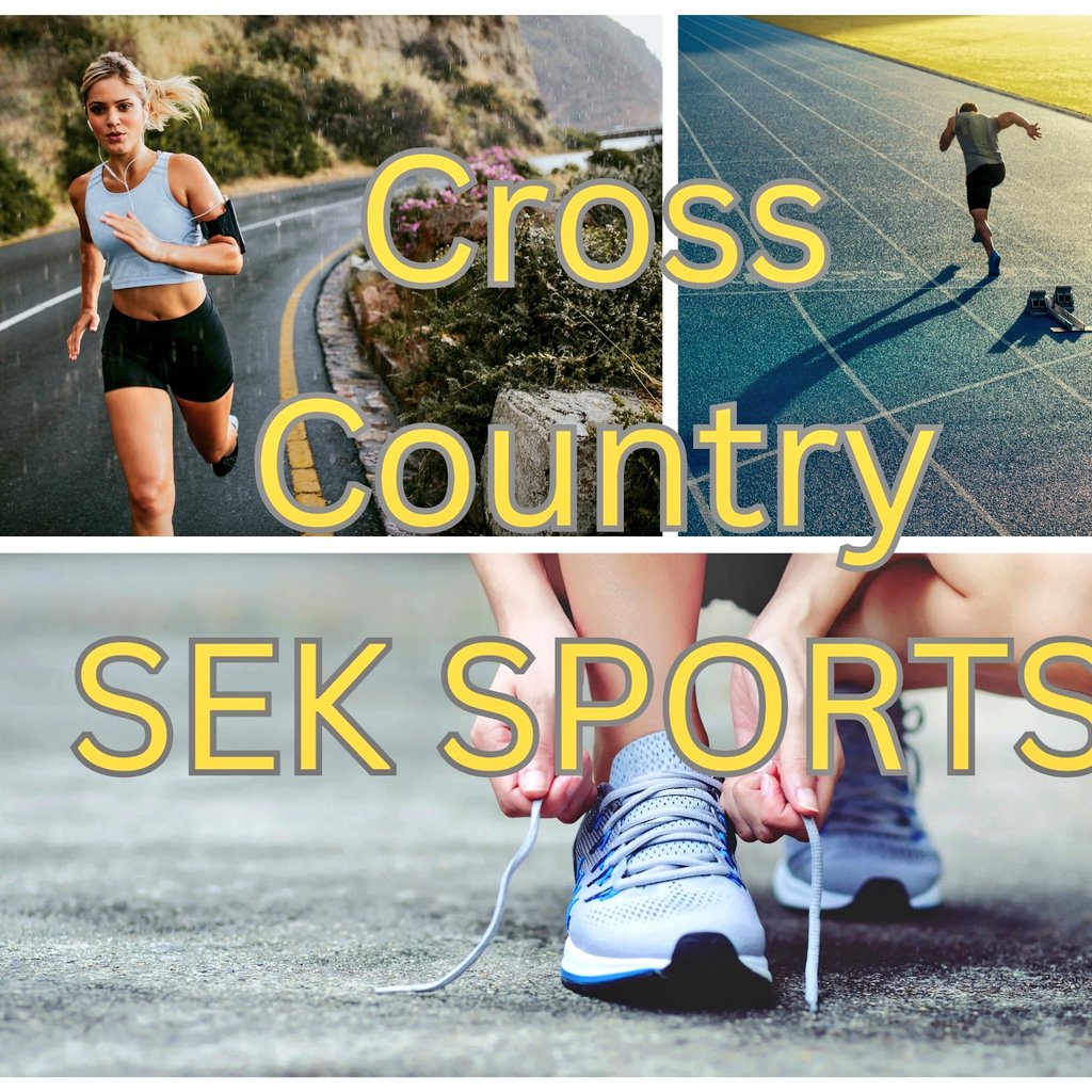 SEK Sports tweet media