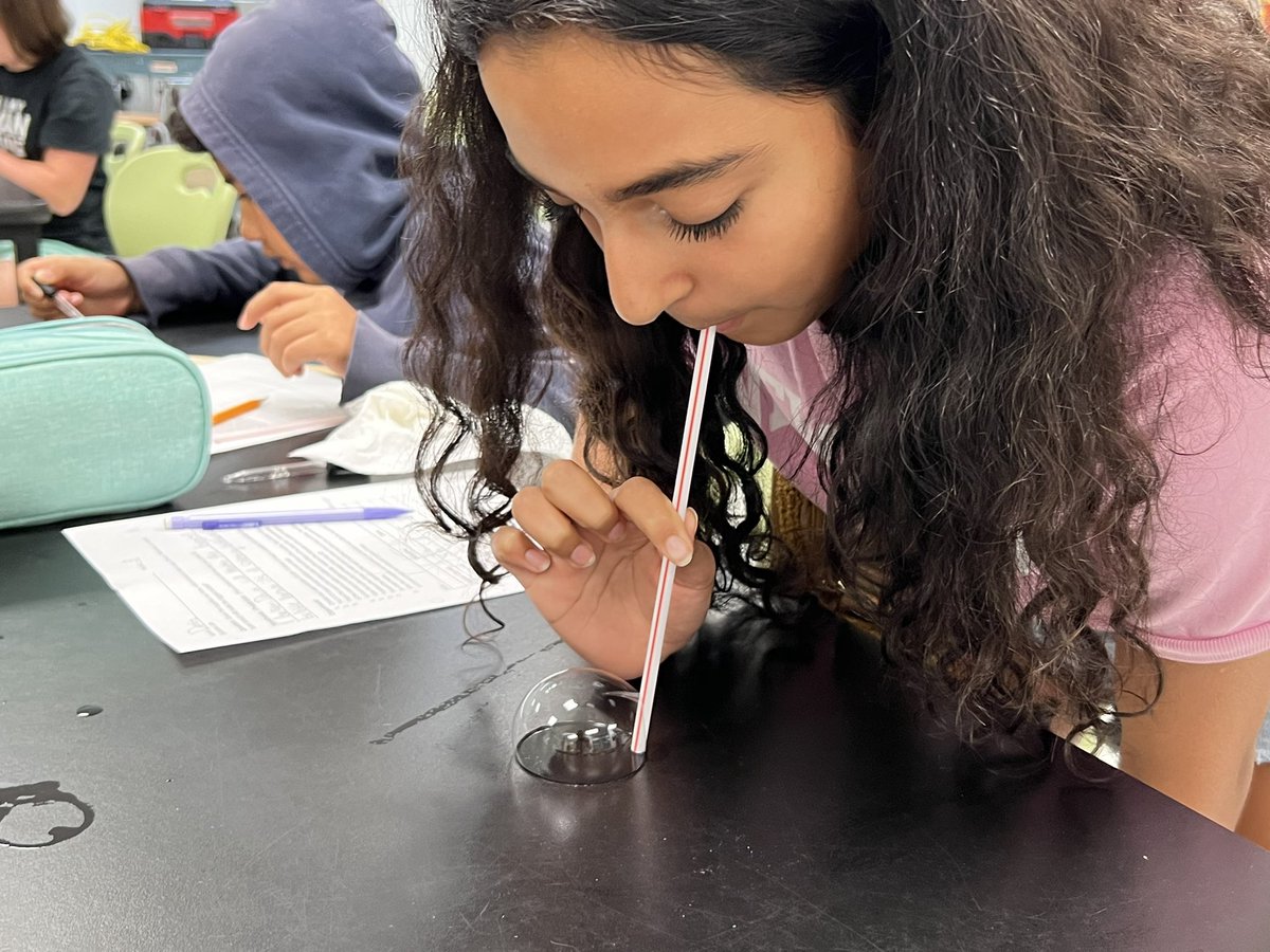 sciencewithmro's tweet photo. In Lab 1602 today, we tried doing a replicable experiment testing which dish soap will make the biggest bubble. We made predications, tested each soap (some way better than others), measured, and documented our data. Tomorrow is data analysis and conclusions. #owlscience2024 https://t.co/icx7hvukjs
