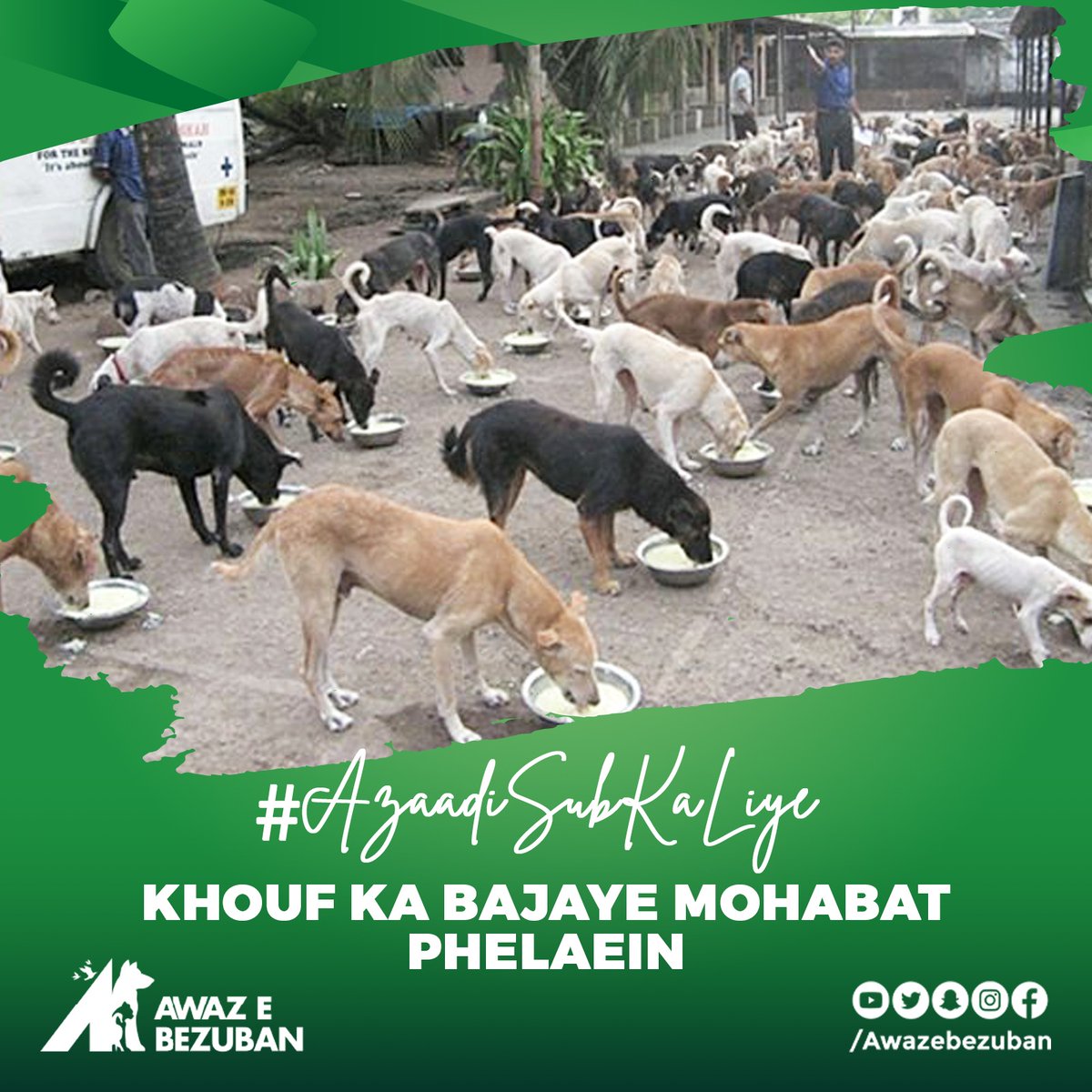 This August 14th, let's celebrate with a friendly spirit alongside animals 🐾🎉, where we spread the flag of love instead of fear ❤️. It's time to embrace our celebrations in a humane and compassionate manner , where we rise to the challenges presented by our animal companions .