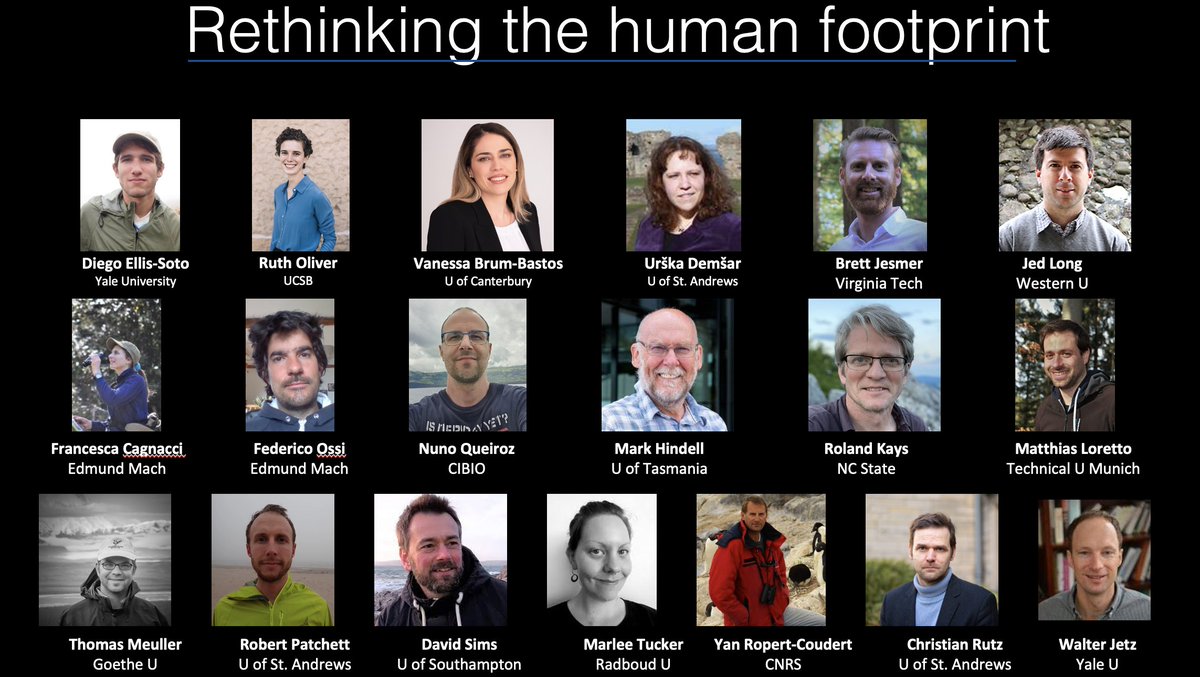 The human side behind the paper: It was 2020, we were all in our houses zooming how to best study the effects of Covid-19 lockdowns on wildlife behavior. We quickly realized that we don’t much about how the biggest ecosystem engineer on earth – homo sapiens – moves around ! 2/