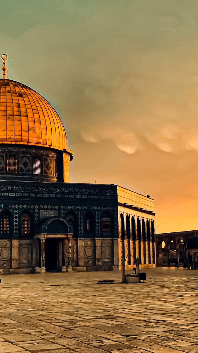 “Rabbinin her şeye şahit olması yetmez mi?"

|Fussilet, 53