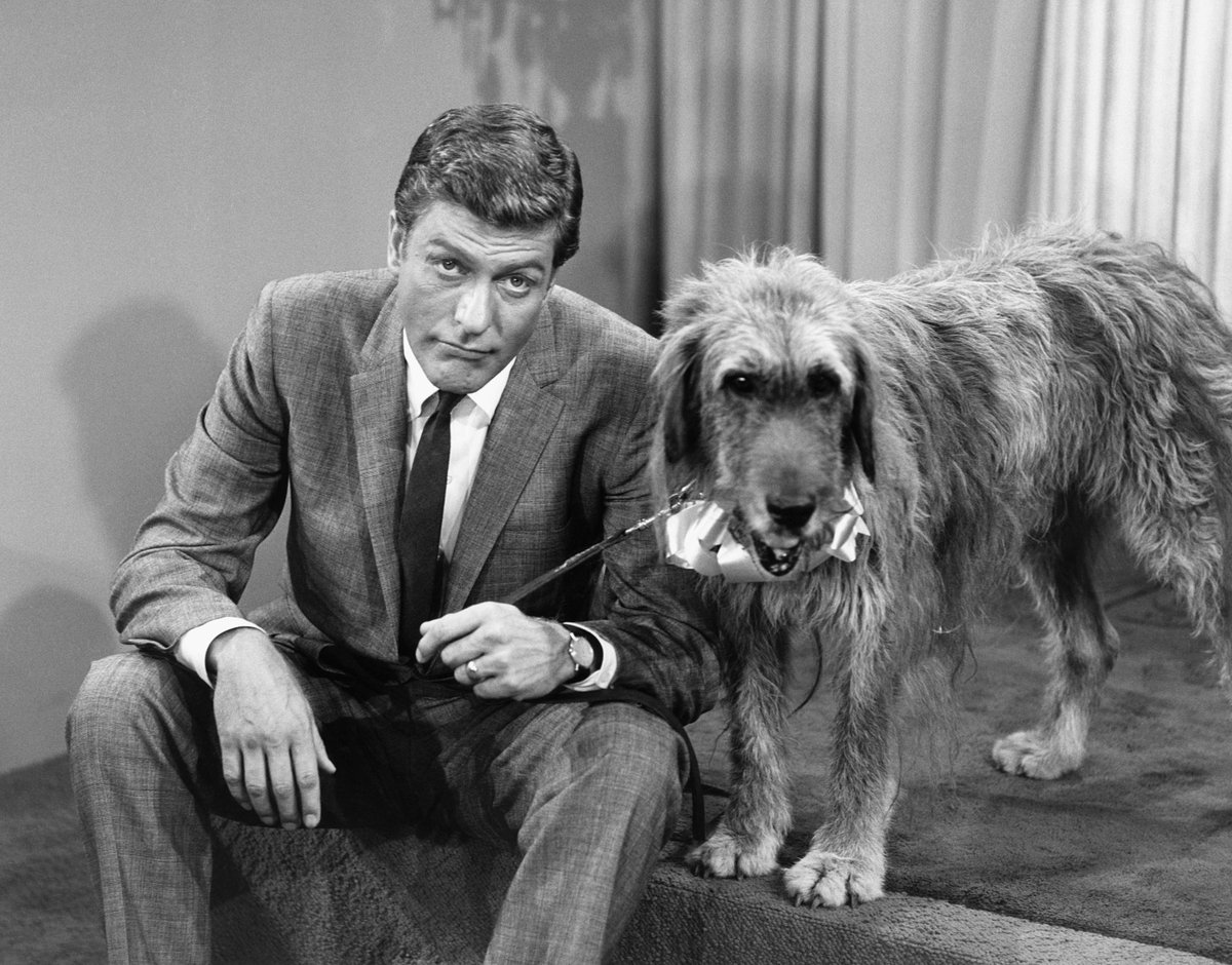 For just about every decade that there has been a sitcom on television, it's always been easy to identify those stars who shine bright as the current face of comedy. In the 50s, it was Jackie Gleason and Lucille Ball. In the 60s, it was Dick Van Dyke and Andy Griffith... So, who