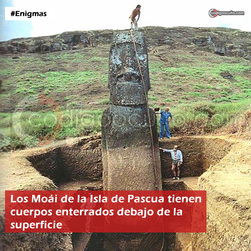 Resulta que las famosas estatuas apodadas 'Moái' por los antiguos Rapa Nui, no son sólo enormes cabezas. Estas enigmáticas estatuas están completas y poseen enormes cuerpos enterrados bajo la superficie... 

#moais #rapanui #isladepascua 

Más información en hilo: